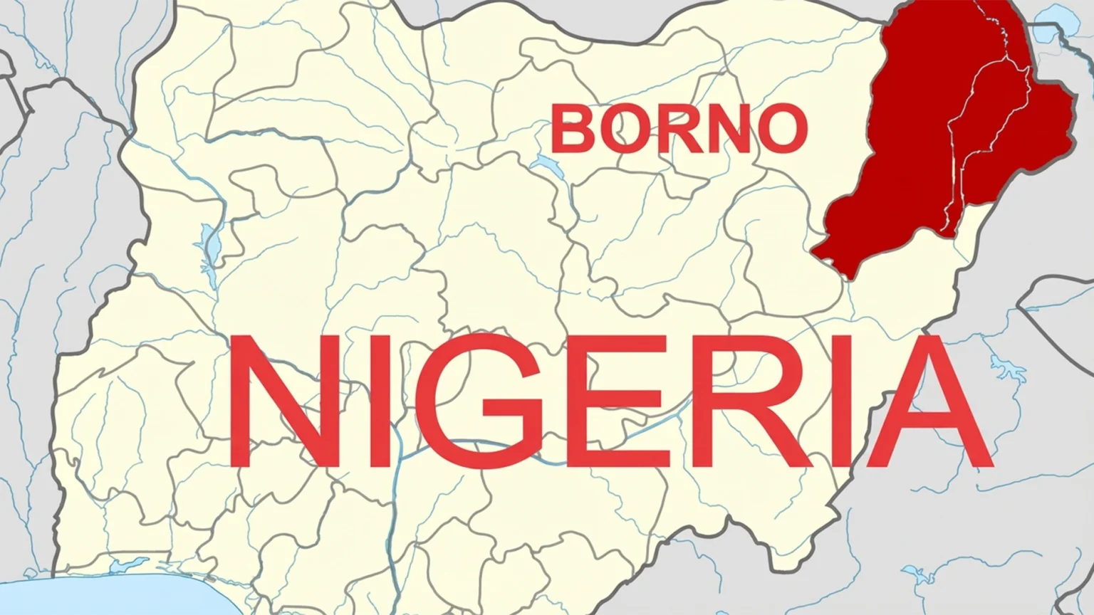 Borno health agency advocates electronic records in hospitals