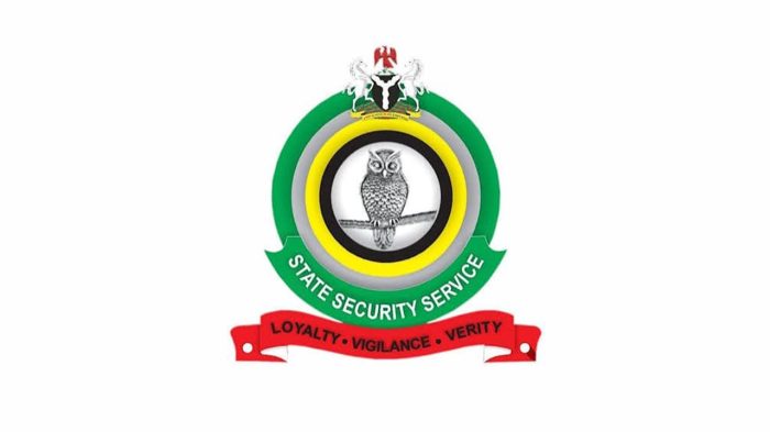 DSS seizes 3 GPMGs, seven AK-47s in Cross River
