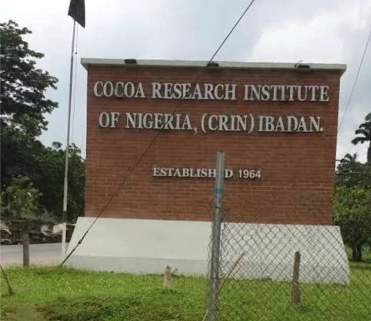 CRIN ABDUCTION: AKANDE-SADIPE CONDEMNS ATTACK, REITERATES EARLIER WARNING ON INSECURITY IN OLUYOLE