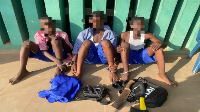 Police foil cult initiation, arrest three students in Ogun
